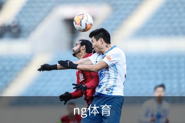 ng体育公司简介图片